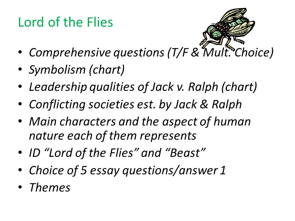 Lord of the flies theme analysis essay